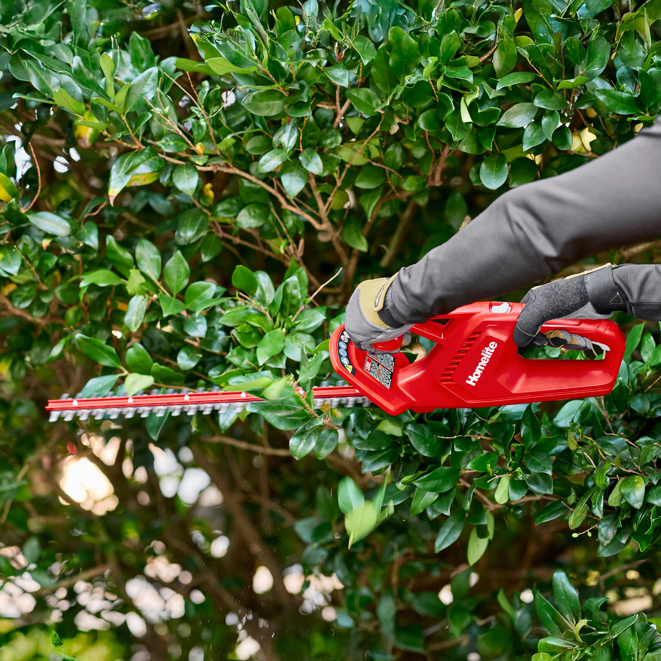 12V 18” Hedge Trimmer trimming side of shrub